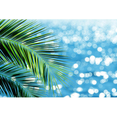 Feuilles de palmier et mer par Imagedepotpro