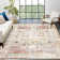 Machine Washable Rug Oriental Area Rugs for Living Room Ultra Soft Non-Slip Rug for Bedroom Foldable Rug for Playroom Office Kitchen
