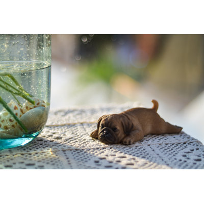 Pug Fridge Magnet