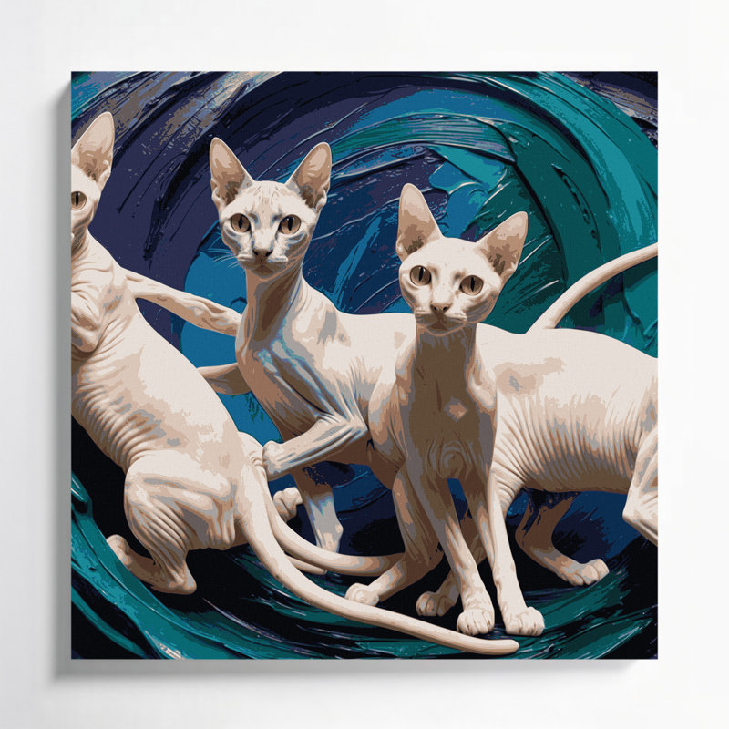 Cats Peterbald Gray Canvas Wall Art