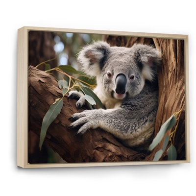Australie, Koala Haven I, reproduction d'art sur toile