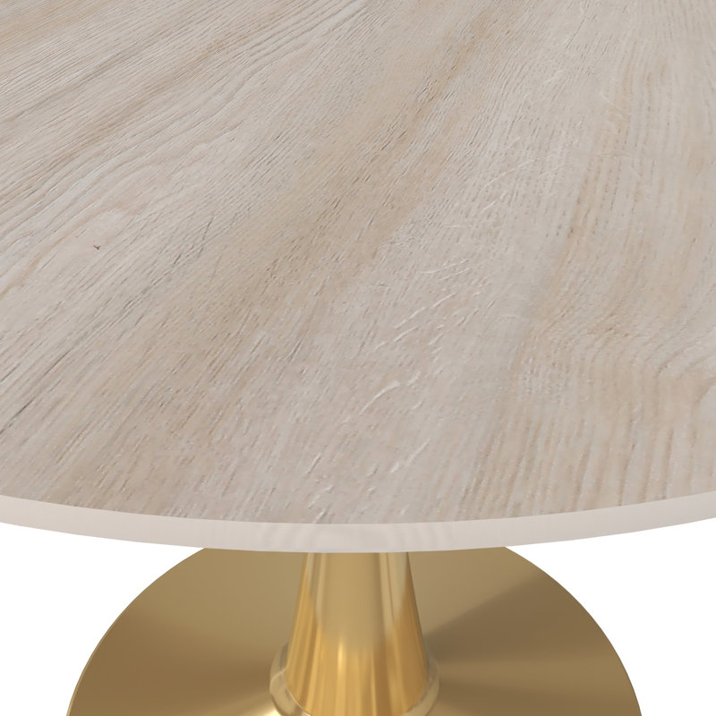 Seybert Round Dining Table with MDF Top and Gold Stainless Steel Pedestal Base - Seats 4 Person for Kitchen and Dining Room