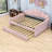 Full Upholstered Daybed Frame with Shell-Shaped Backrest and Twin Trundle-1700070532