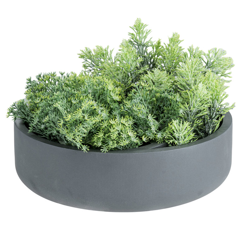 Indoor 8-Inch Concrete Flower Pot Planter, 7.7 cm H x 24 cm W x 24 cm D