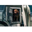 Cage de transport pour animaux-69744564