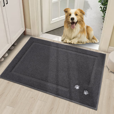 Non-Slip Indoor Doormat
