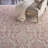 Yurig Indoor Rug-394540379