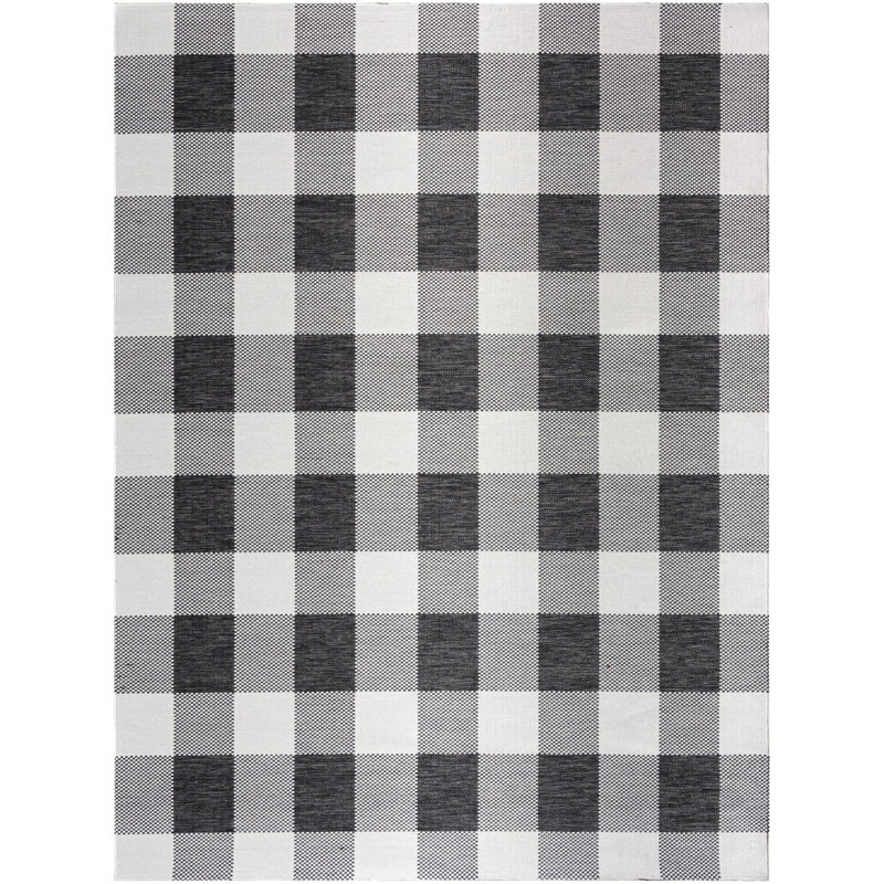 Yumie Checkered Indoor / Outdoor Rug, Rectangle 5'2" x 7'