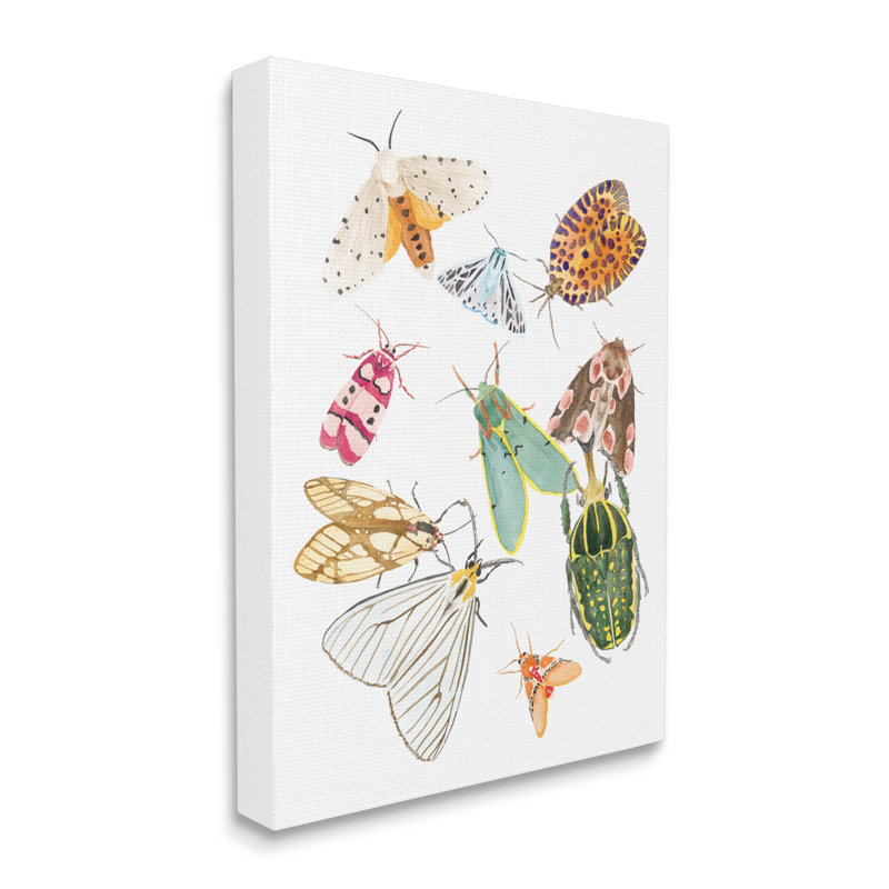 Insectes ailés de couleur tropicale - peinture, Toile tendue, H 48 po x l 36 po x l 1,5 po