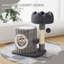 Amadahy 53cm H Cat Tree-1801575173