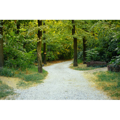 The Access Road From Gravel In The Trees by Iprogressman - Wrapped Canvas Print