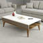 Nesi Coffee Table-828780215