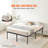 Tesfai 14'' Steel Platform Bed-823876193-867532884