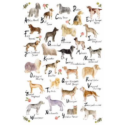 Dog Alphabet by Melissa Wang - Painting
