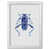 White Grain Frame