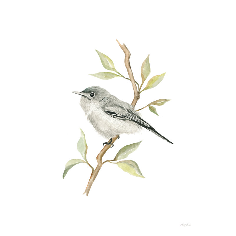 «Gnatcatcher Songbird» sur toile, H 30 po x l 20 po x P 1,25 po
