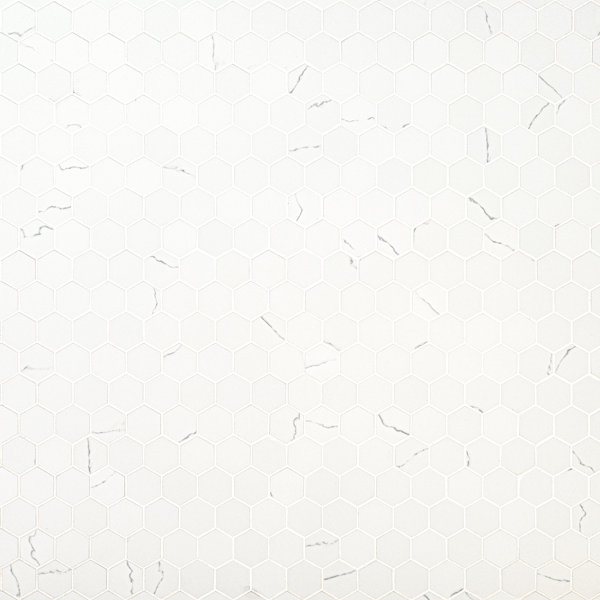 Belvia Hexagon 12 in. x 12 in. Matte Porcelain Mosaic Floor and Wall Tile