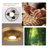 20" Bamboo Farmhouse Caged LED Dimmable RGB Ceiling Fan With Light And Remote Control