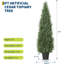 Plant-530510792