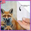 Rideaux de douche Red Fox Family-887794911