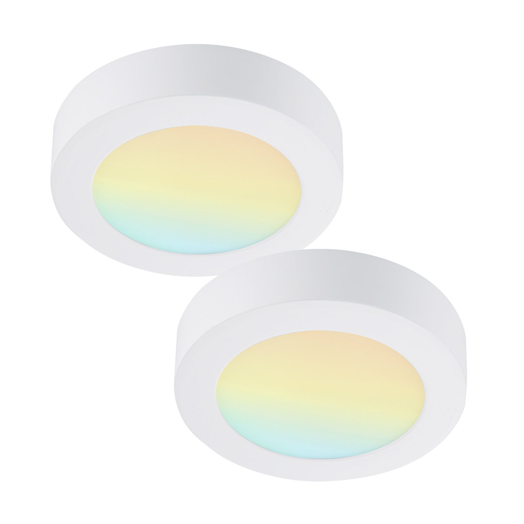 Round Color Selectable Integrated LED Flush Mount Downlight (Set of 2) RUN BISON