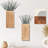Dioseline Wall Vase - Set of 2-1414462646