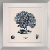 Blue Coral III Print