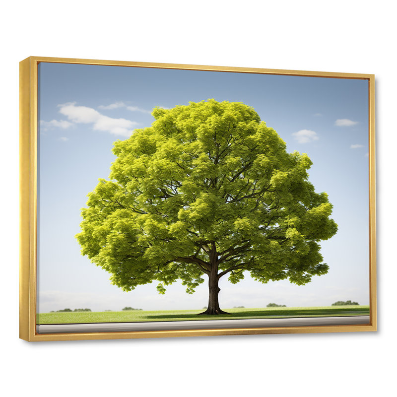 American Basswood Elegance sur impression sur toile, Cadre flottant doré, H 34 po x l 44 po x P 1,5 po
