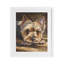 Yorkshire Terrier, reproduction sous verre encadrée, conception de George Dyachenko-2110586932-2110586939