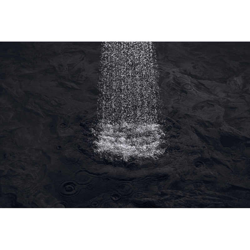 Shift® Ellipse Wide Handheld Shower Head, Oil-Rubbed Bronze