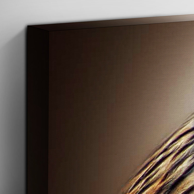 Red Kite Bird Photographic - Wrapped Canvas, 50cm H x 76cm W