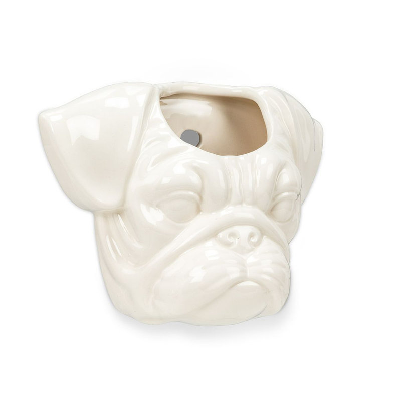 Lugenia Ceramic Wall Planter