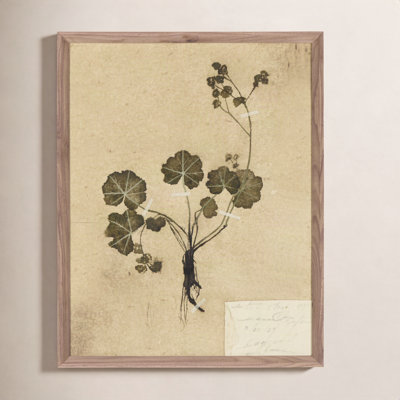 "Petite Study No. Vi" by Hannah Winters