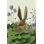 " Cabbage Patch Rabbit 5 " by Fab Funky