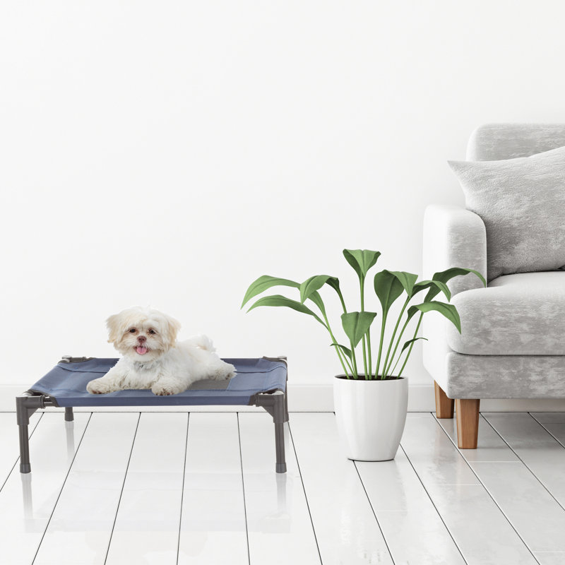 Lit surélevé pour chien PETMAKER, bleu, 62 x 47 x 18 cm, Petit (l 24 po x P 18 po x H 7 po), Bleu