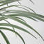 Dragon artificiel 88,9 "en pot