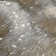 Wellsboro Area Rug
