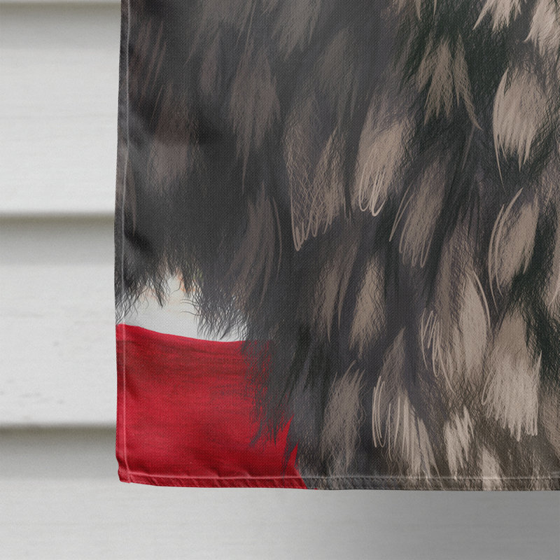 Polyester à 2 côtés 28 x 40 po drapeau maison, Berger de Bergame