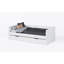 Friend Daybed with Trundle