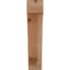 Attelle impériale du genou-29309856-31229279-87149297