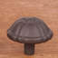 CK Series Knob-12829552-12829553