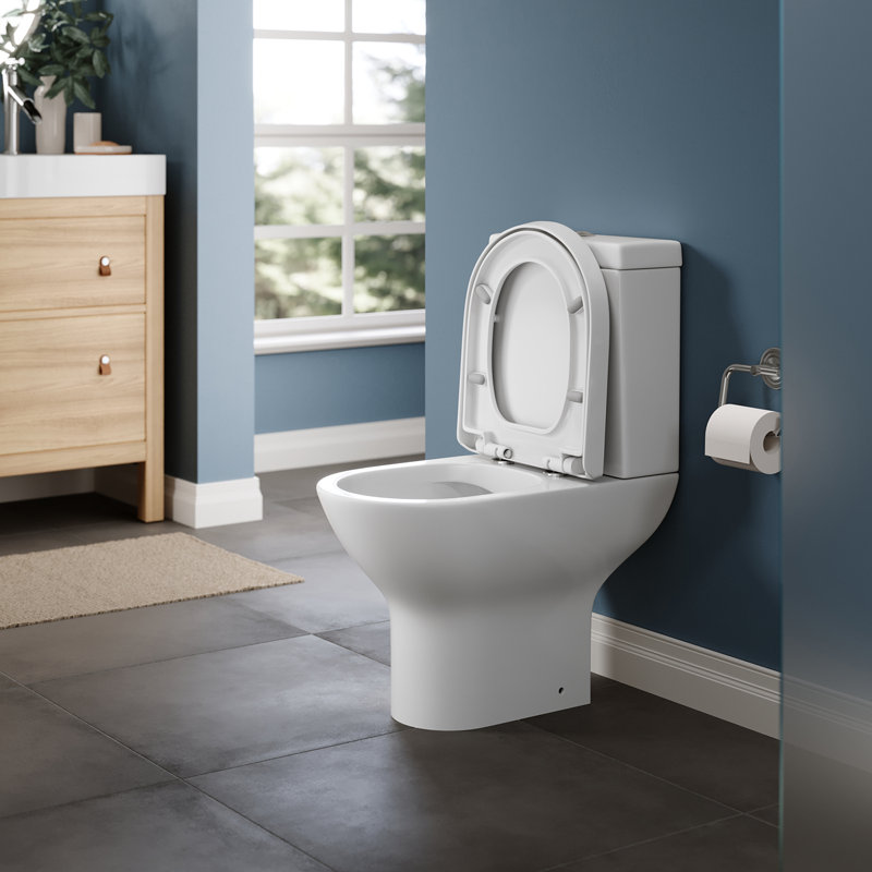 Belfry Bathroom Larios 1.59L LPF Round One-Piece Toilet (Seat Not Included)
