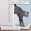 Litter Catch for the Refined Litter Box Enclosure-1019514809