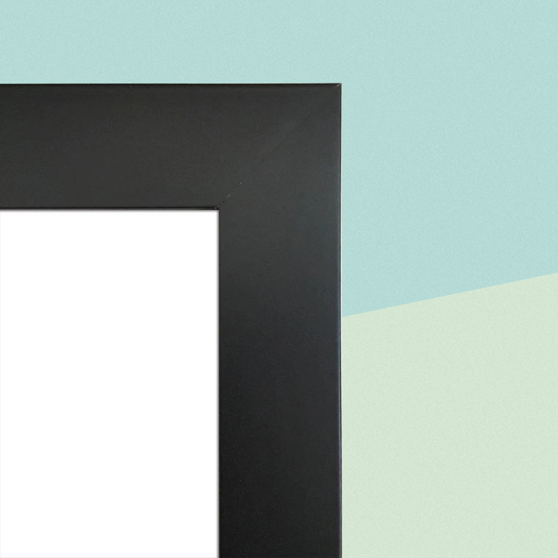 Matte Picture Frame, 20'' x 30'', Black