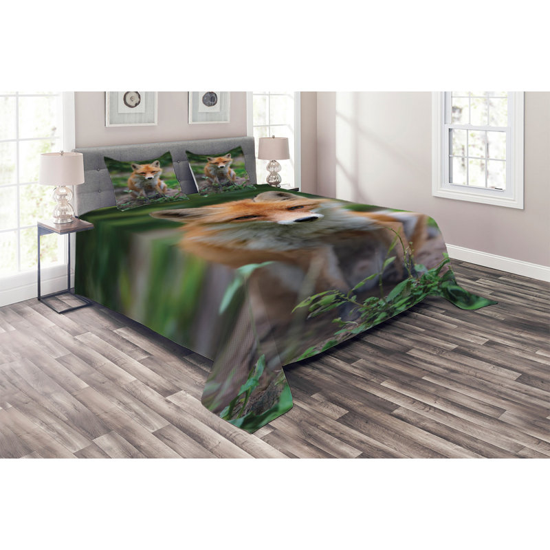 Farmhouse / Country Polyester Coverlet, King Bedspread + 2 Shams