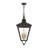 4 - Light Outdoor Hanging Lantern-171064989