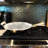Design Imports Stainless Steel Splatter Screen-59786604
