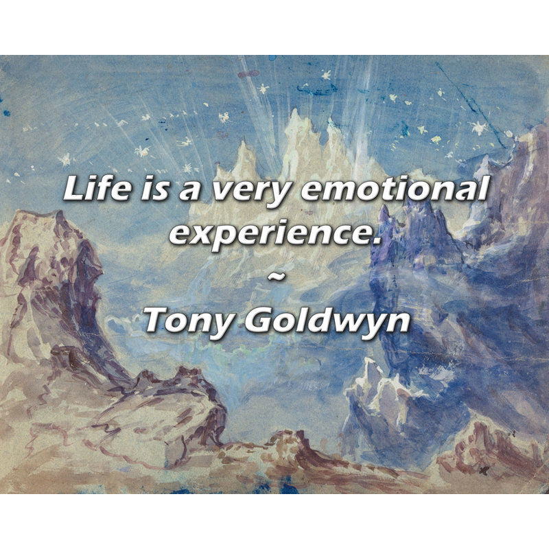 Tony Goldwyn Citation: La vie est une expérience très émouvante., H 15 po x l 18 po