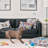 Pets Reversible Throw Pillow