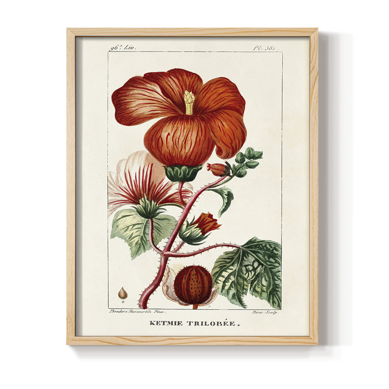 Reproduction encadrée Turpin Tropical Botanicals VII - bois massif, H 21 po x l 17 po